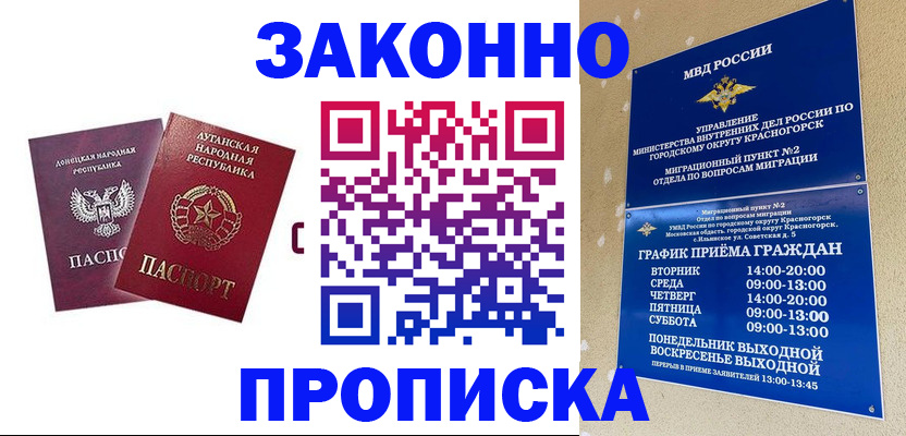 прописка в Сольцах