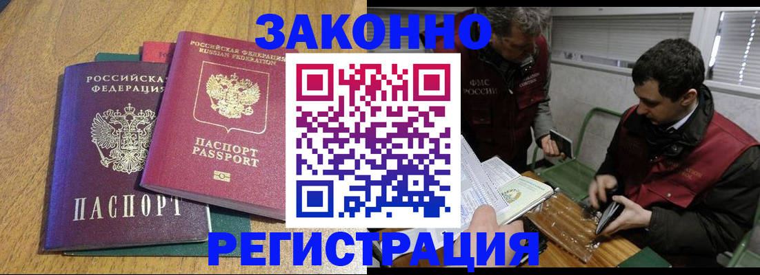 прописка 2025 в Сольцах